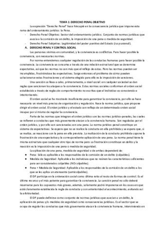 Resumen-Tema-1-DP-Obj.pdf