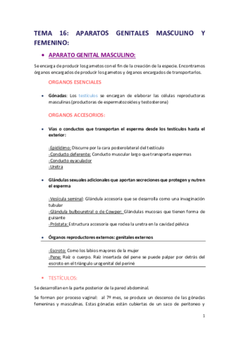 APARATOS-GENITALES.pdf