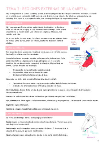 Tema-2.pdf