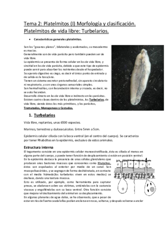 Tema-2-PLATELMITOS-I.pdf