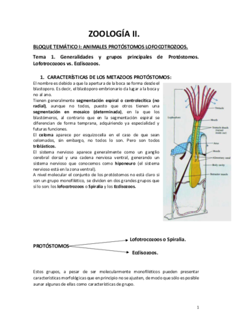 Tema-1.pdf