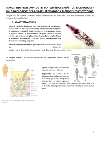 Tema-3-Platelmitos-II.pdf