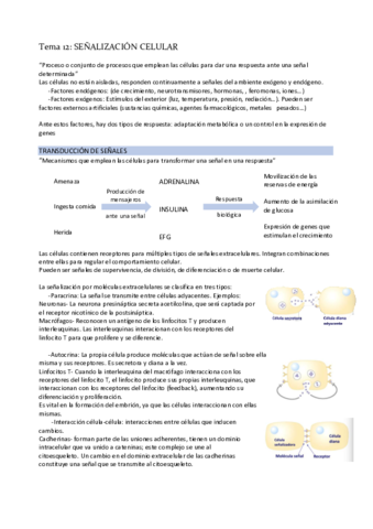 Tema-12-Senalizacion-celular.pdf