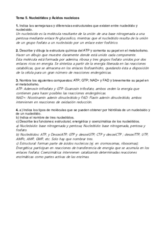 Ácidos nucleicos PAU.pdf