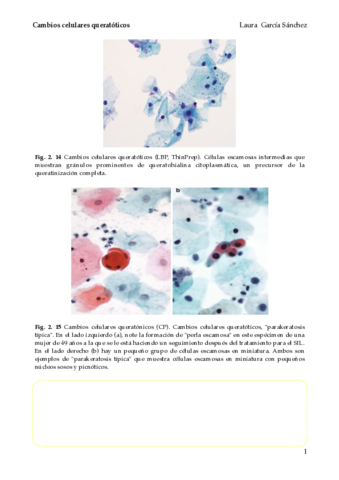 Cambios-celulares-queratoticos.pdf