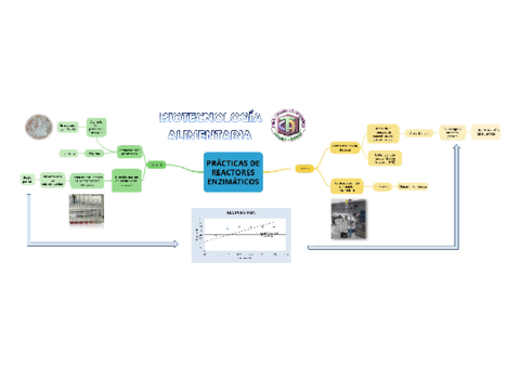 MAPA-MENTAL-PRACTICAS.pdf