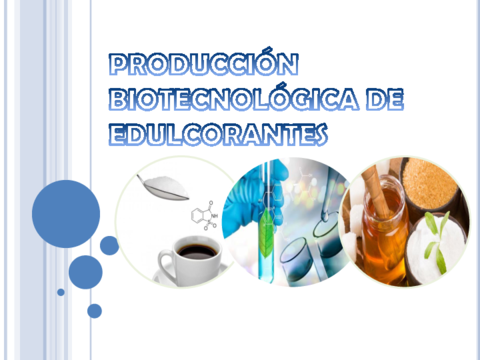 PRODUCCION-DE-EDULCORANTES.pdf