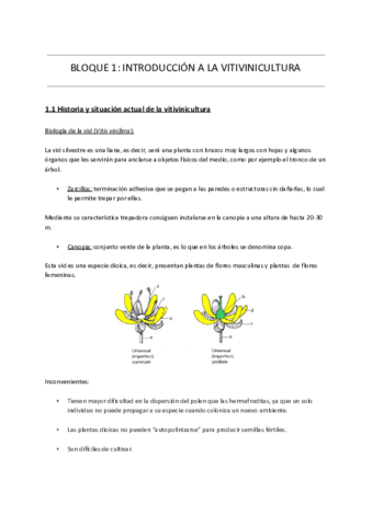 BLOQUE-1-INTRODUCCION-A-LA-VITIVINICULTURA.pdf
