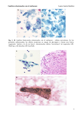 cambios-relacionados-con-el-embarazo.pdf