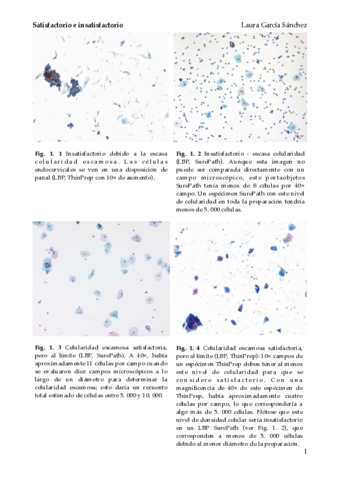 Satisfctorio-e-insatisfactorio.pdf