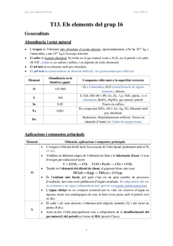 T13-Els-elements-del-grup-16.pdf