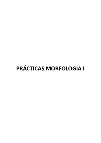 PRACTIQUES-MORFOLOGIA-I.pdf