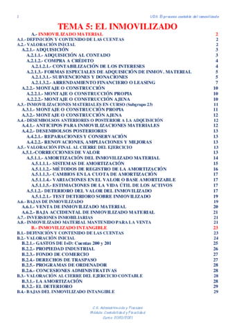 TEMA-5-INMOVILIZADO.pdf