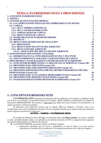 TEMA-6-PATRIMONIO-NETO.pdf
