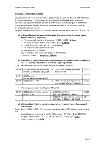 Tema-4-Ejercicios-PN.pdf