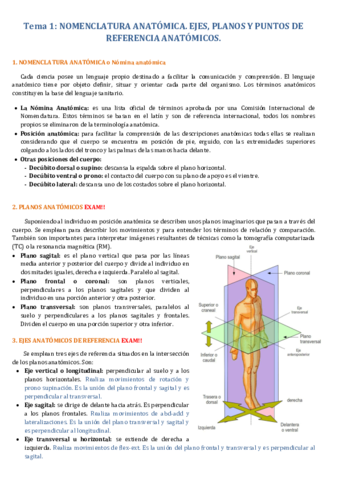 Apuntes-anatomia-PRIMER-PARCIAL.pdf