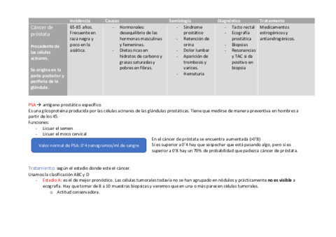 ESQUEMA CANCER DE PROSTATA.pdf