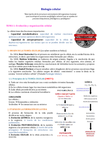 Apuntes-Biologiia-celular-y-tisular-.pdf