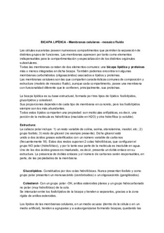 Preguntas-BCH-resueltas.pdf