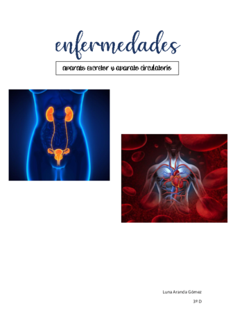 enfermedades-aparato-excretor-y-circulatorio.pdf