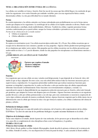 APUNTES-BIOLOGIA-definitivos.pdf