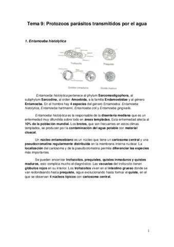 Tema-9-Parasitologia.pdf