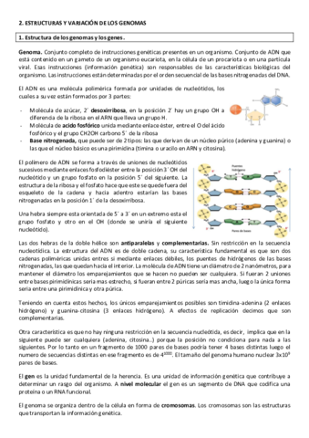 Tema2.pdf