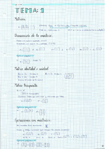Apuntes-Matematicas-todo.pdf