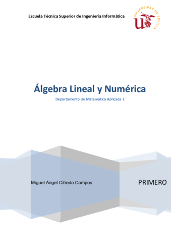 ALN - Álgebra Lineal y Numérica - extracto.pdf