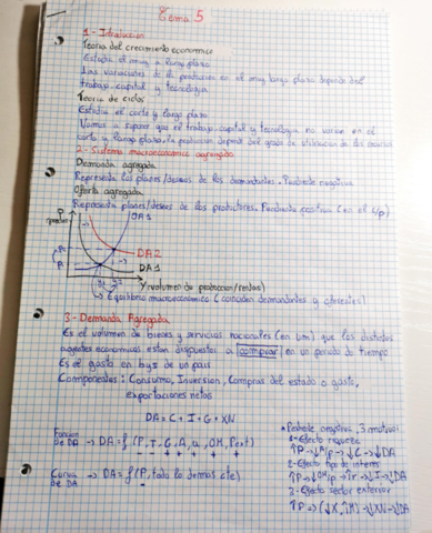 T5-Macroeconomia.pdf