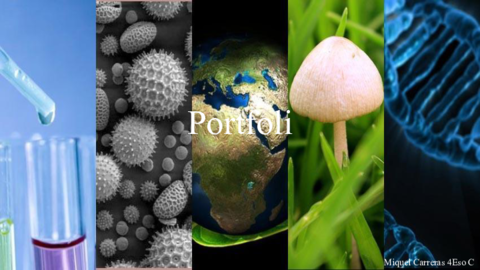 Portfolio-1r-trim.pdf