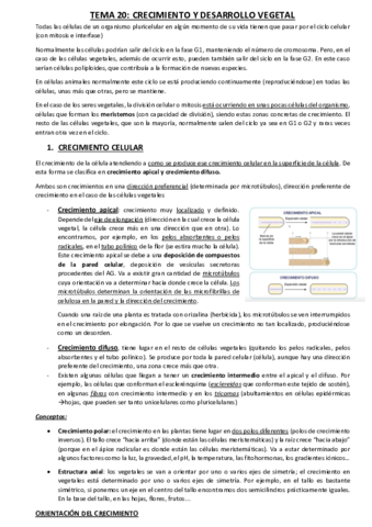 tema-20.pdf