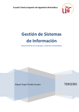 GSI - Gestión de Sistemas de Información - extracto.pdf