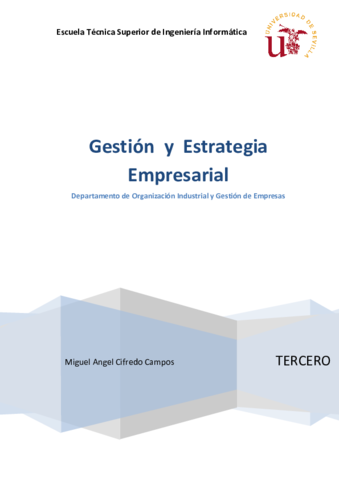 GEE - Gestión y Estrategia Empresarial - extracto.pdf