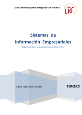 SIE - Sistemas de Información Empresariales - extracto.pdf