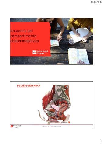 Anatomia-del-SP.pdf