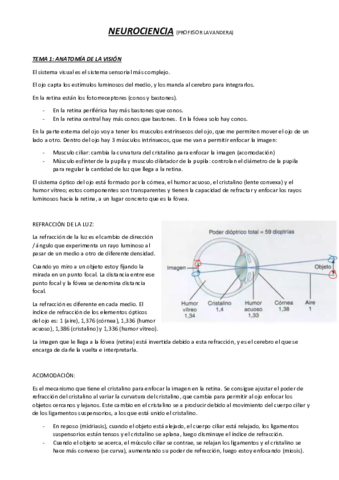 Neuroanato-lavandera.pdf