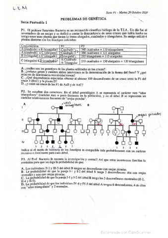series-resueltas-desarrolladas-2021.pdf