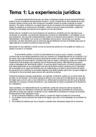 TEORIA-DEL-DERECHO.pdf