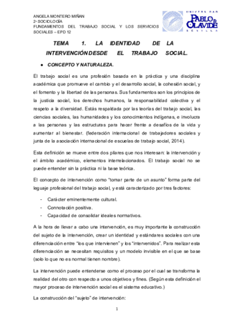 TEMA-1-IDENTIDAD-DE-LA-INTERVENCION-DESDE-EL-TRABAJO-SOCIAL.pdf
