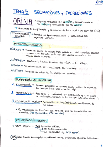 TEMA-5-Secreciones-y-excreciones-.pdf