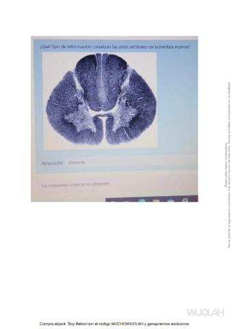Examen-practico-jeje.pdf