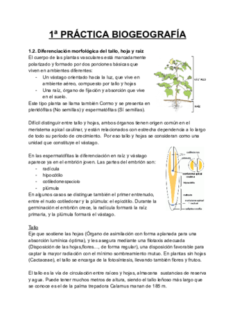 1a-PRACTICA-BIOGEOGRAFIA.pdf