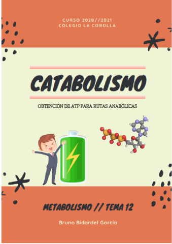 Catabolismo.pdf
