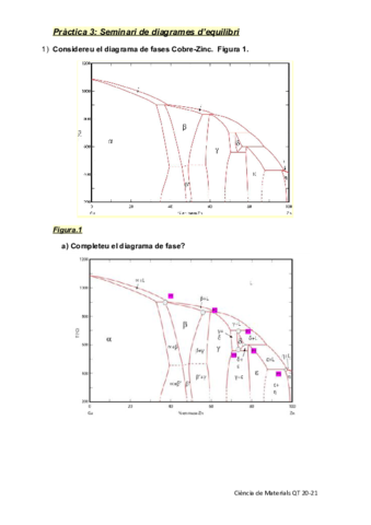 P3-Problema-Diagrames-de-fases-para-entregar.pdf