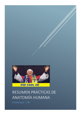 Resumen prácticas Anatomía.pdf