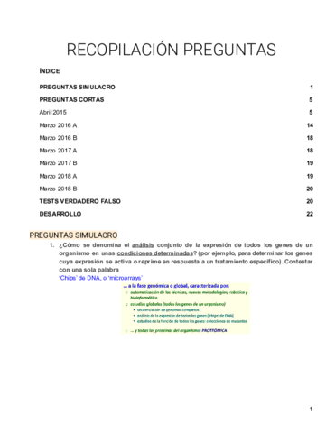 RECOPILACION-PREGUNTAS-.pdf
