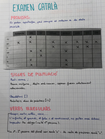 Pronoms, signes de puntuació i verbs irregulars