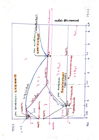 explicacion-diagrama-de-carbono.pdf