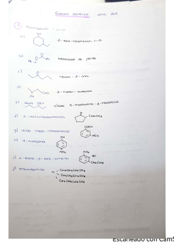 examen-organica-junio-2018.pdf